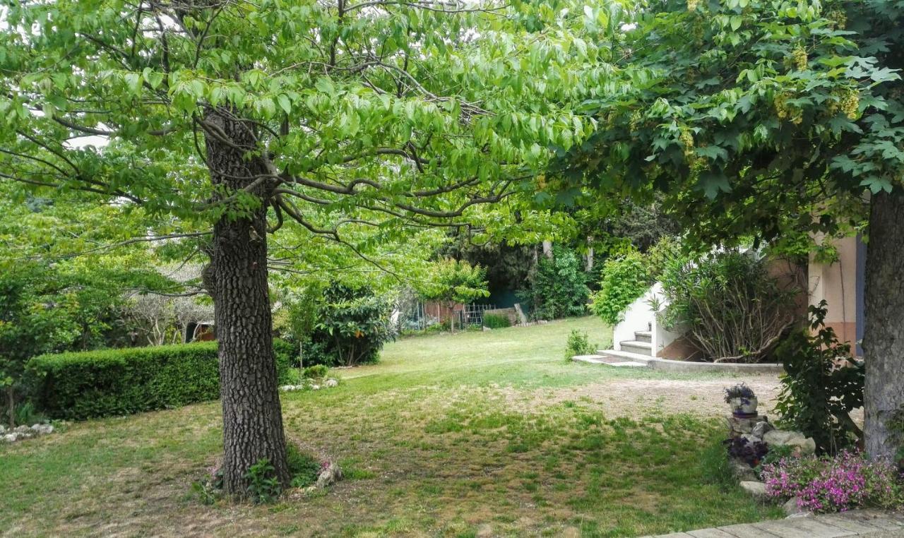 Chambres D'Hotes La Chrysalide Loriol-du-Comtat Εξωτερικό φωτογραφία